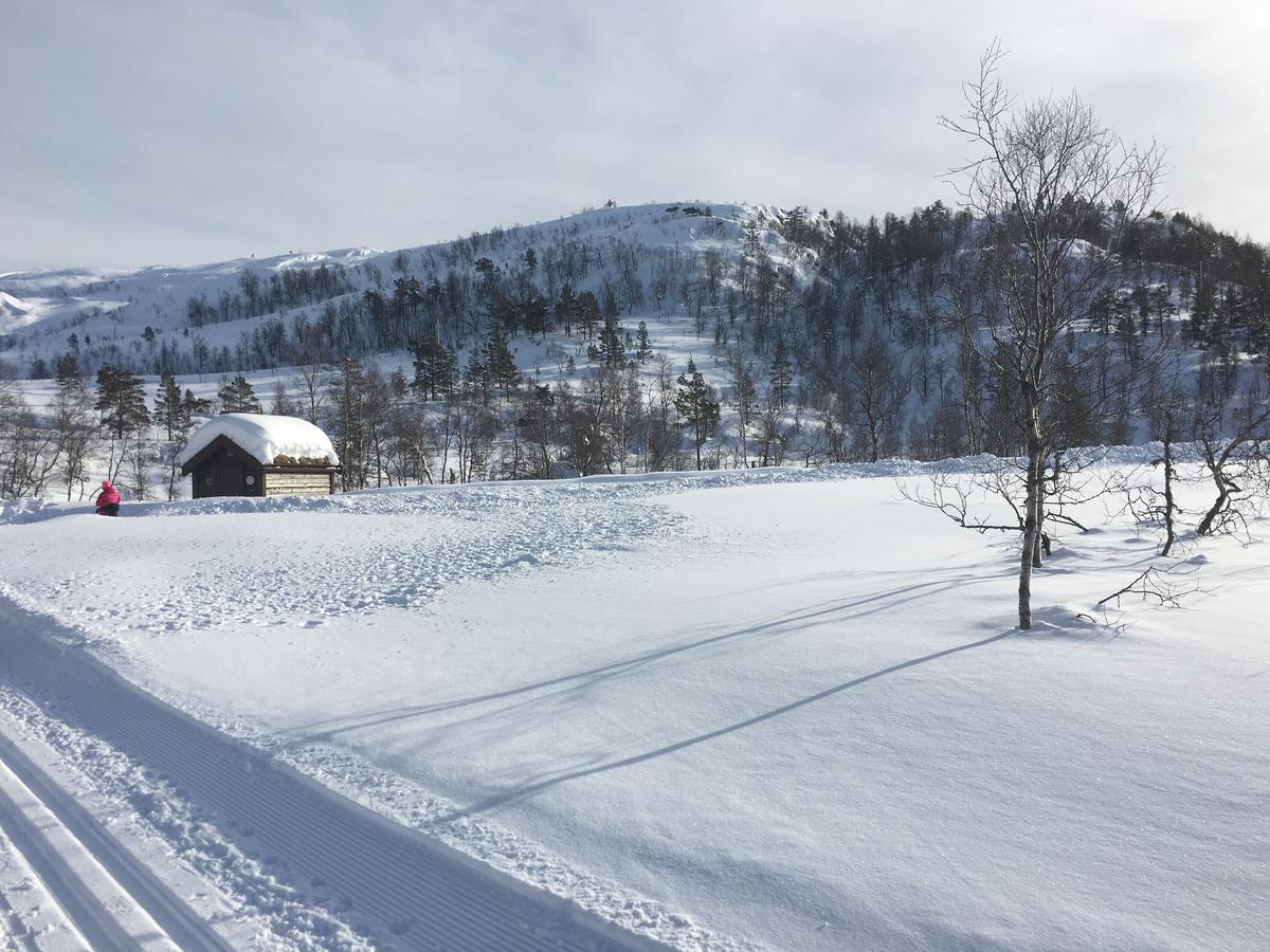 Kvamseter Lodge Eikedalen Экстерьер фото